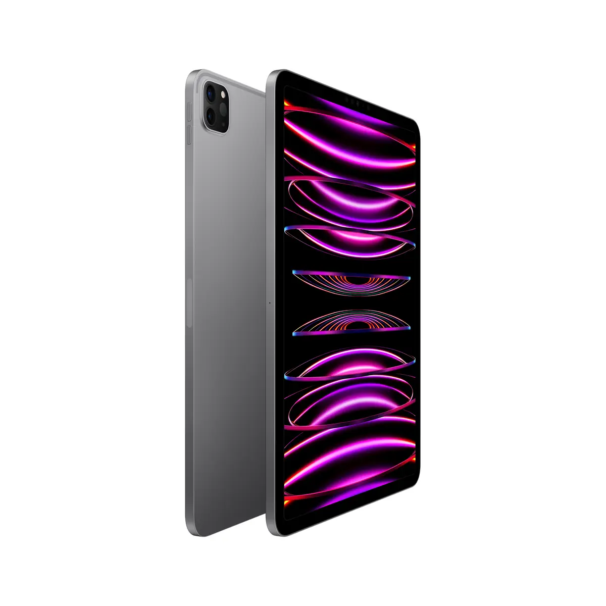 iPad Pro (2022) 12,9" 1TB WiFi+Cellular space grau