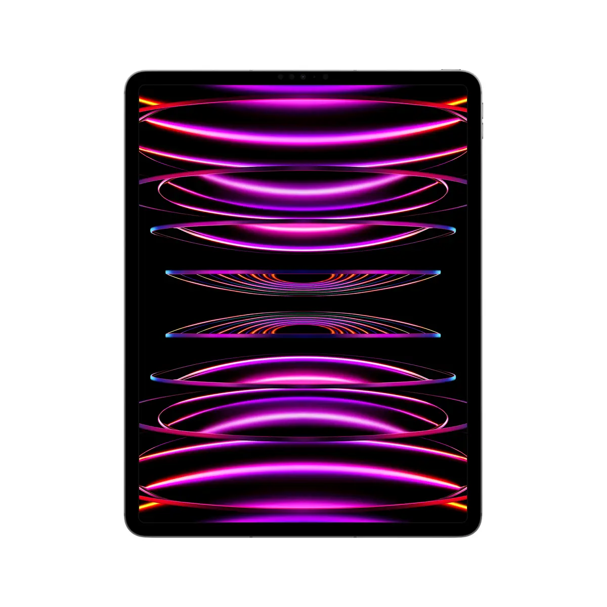 iPad Pro (2022) 12,9" 1TB WiFi+Cellular space grau