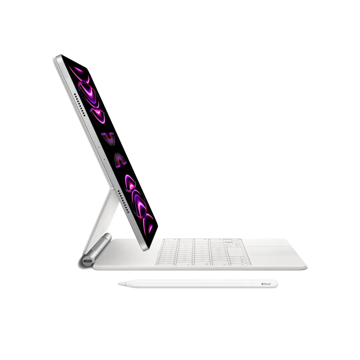iPad Pro (2022) 12,9" 1TB WiFi+Cellular space grau