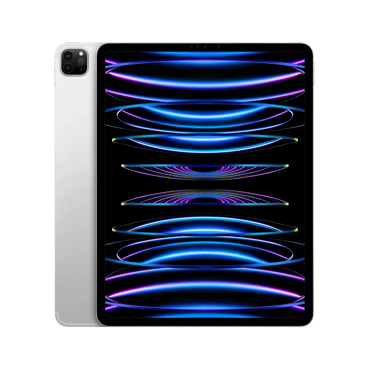 iPad Pro (2022) 12,9" 2TB WiFi+Cellular silber