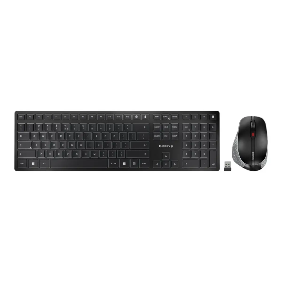 DW 9500 SLIM Wireless Tastatur-/Mouse-Set Layout US mit Euro-Symbol Grau/Schwarz