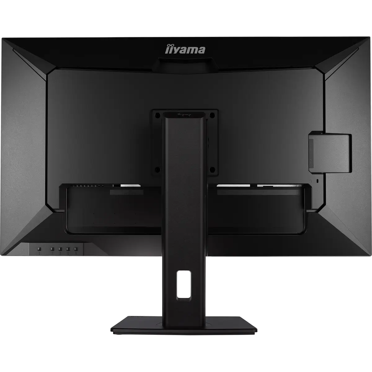 Prolite 31.5" (80 cm) Desktop-Monitor mit IPS-Panel-Technologie, einem KVM-Switch, USB-C-Dock und RJ45 (LAN) Anschluss
