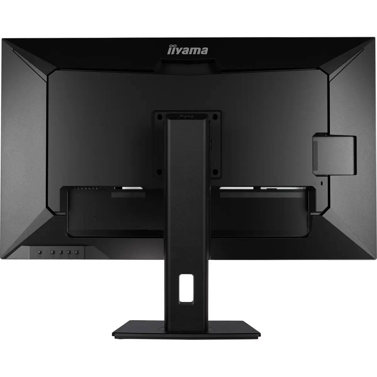 Prolite 31.5" (80 cm) Desktop-Monitor mit IPS-Panel-Technologie, einem KVM-Switch, USB-C-Dock und RJ45 (LAN) Anschluss