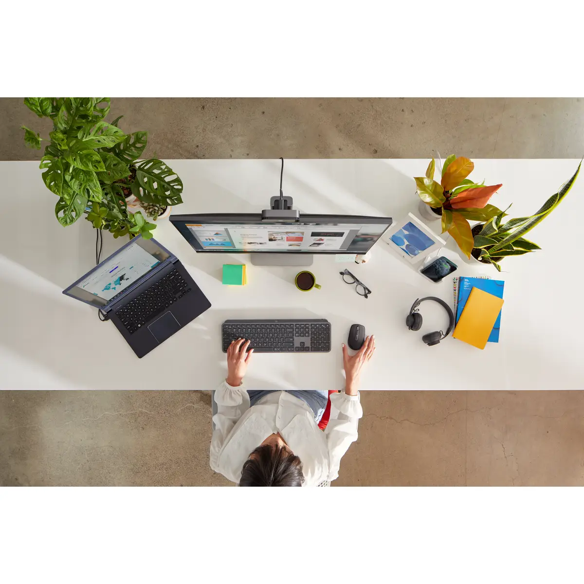 MX Keys for Business Tastatur hinterleuchtet