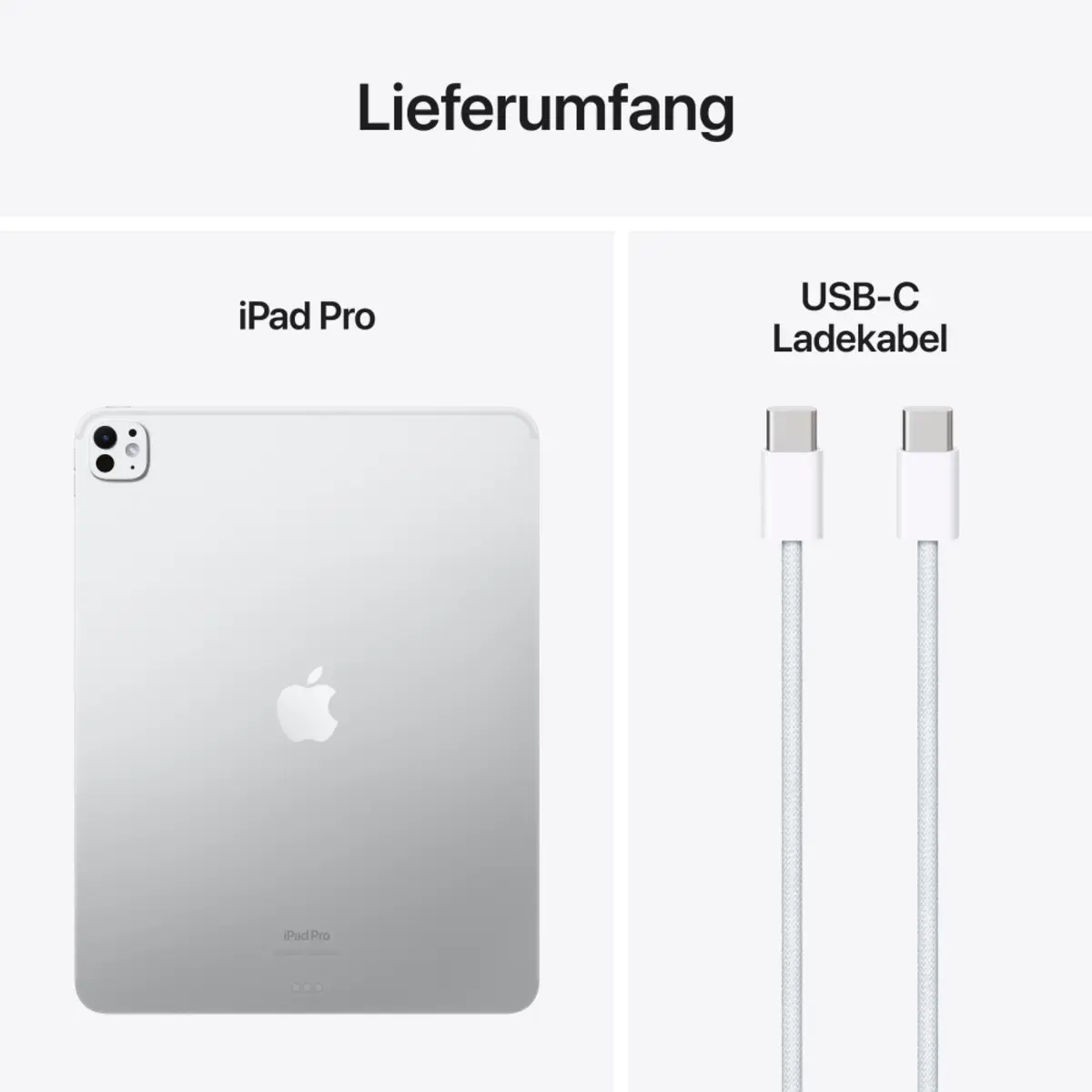iPad Pro (2024) 13" 2TB WiFi + Cellular Standard Glass Silber