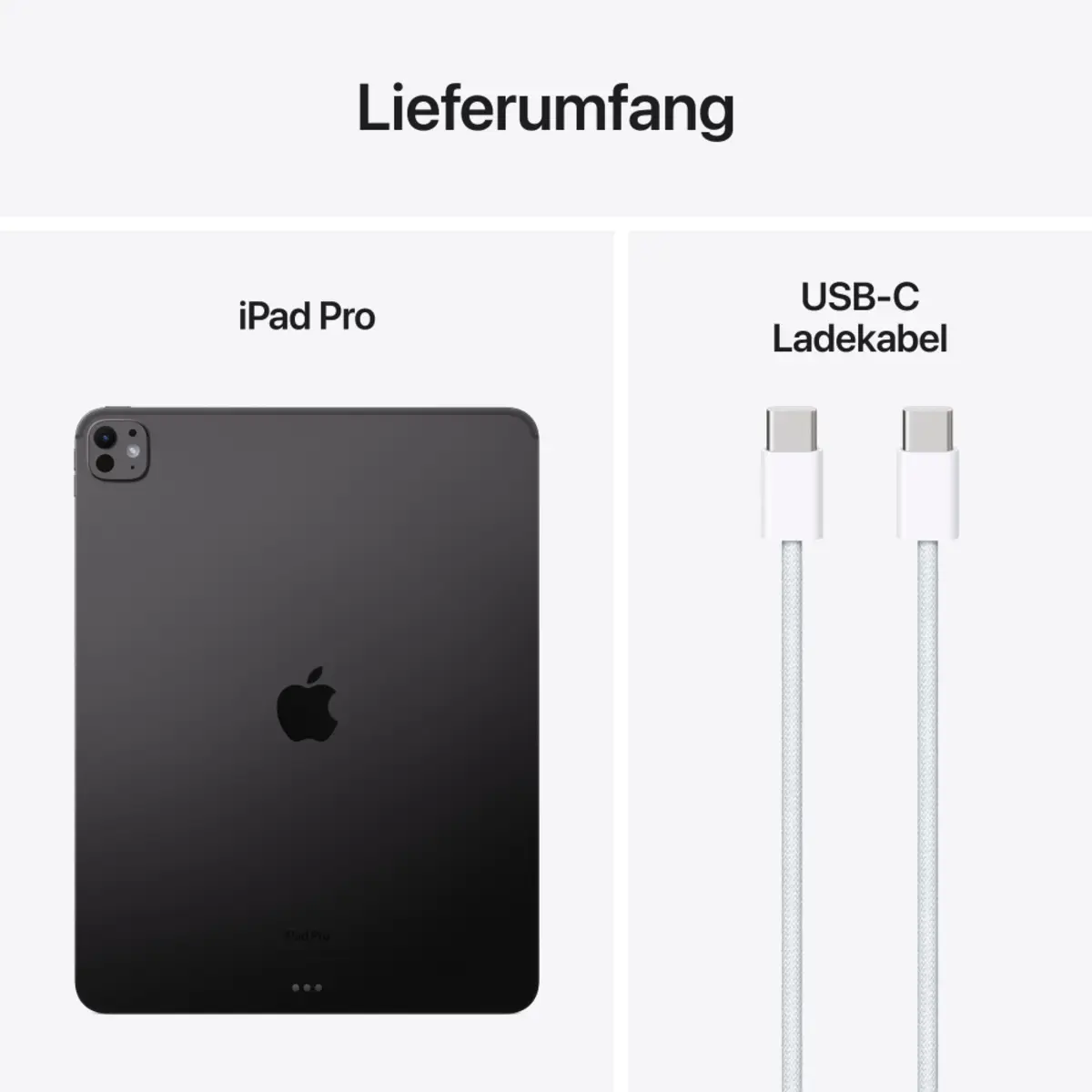 iPad Pro (2024) 11" 256GB WiFi + Cellular Standard Glass Space Schwarz