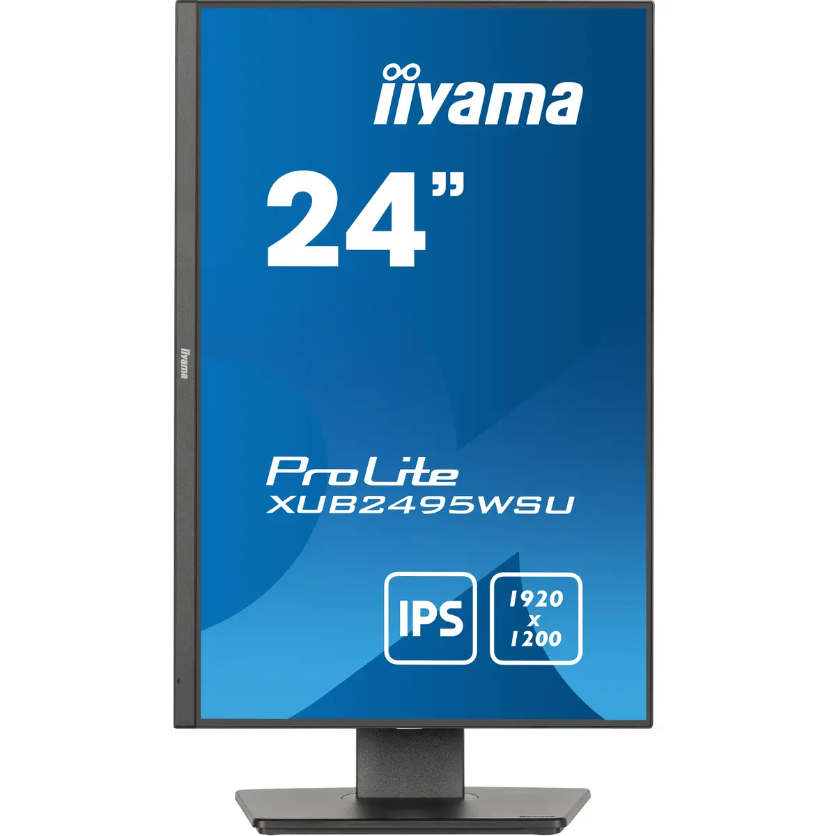 24W LCD Business WUXGA 16 10 IPS 61cm 24" 1920x1200 4ms 300 cd/m² 1000:1 Schwarz