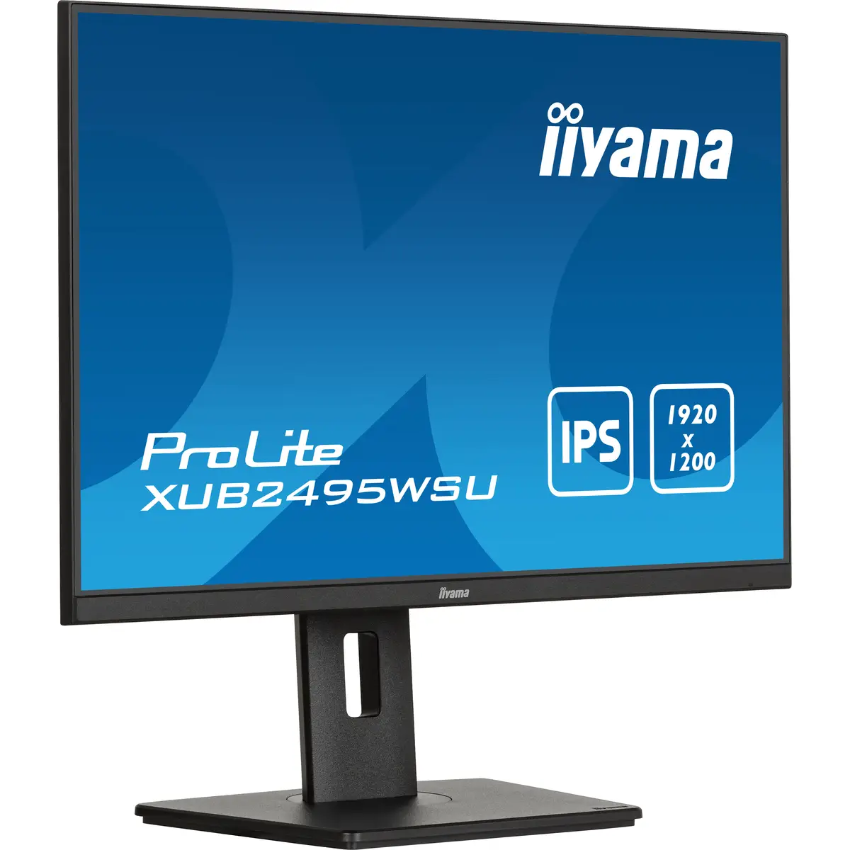 24W LCD Business WUXGA 16 10 IPS 61cm 24" 1920x1200 4ms 300 cd/m² 1000:1 Schwarz