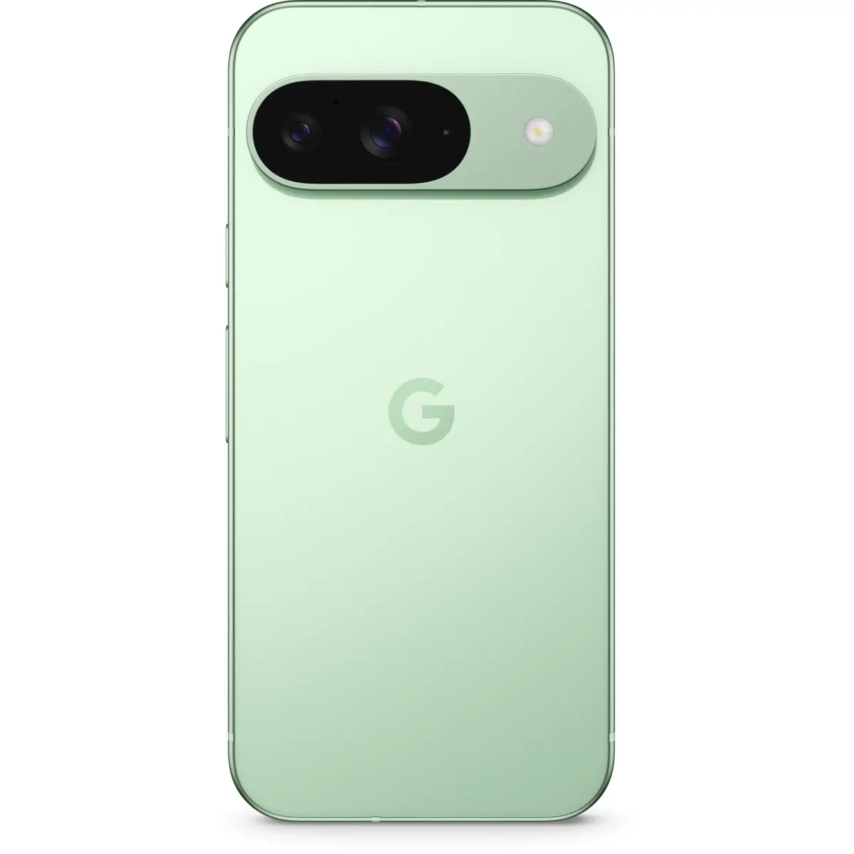 Pixel 9 Smartphone Dual SIM 5G 256 GB 16cm (6,3") 1080 x 2424 Pixel Kamera 50MP/48MP Frontkamera 10,5MP Google Tensor G4 Wintergreen