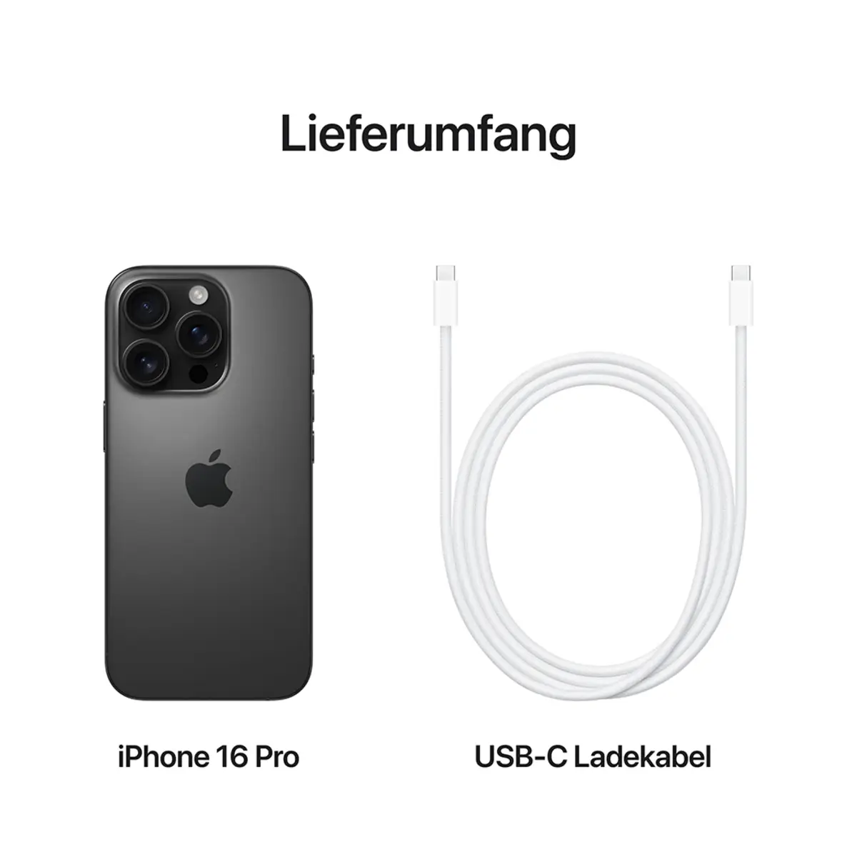 iPhone 16 Pro 1TB Titan Schwarz