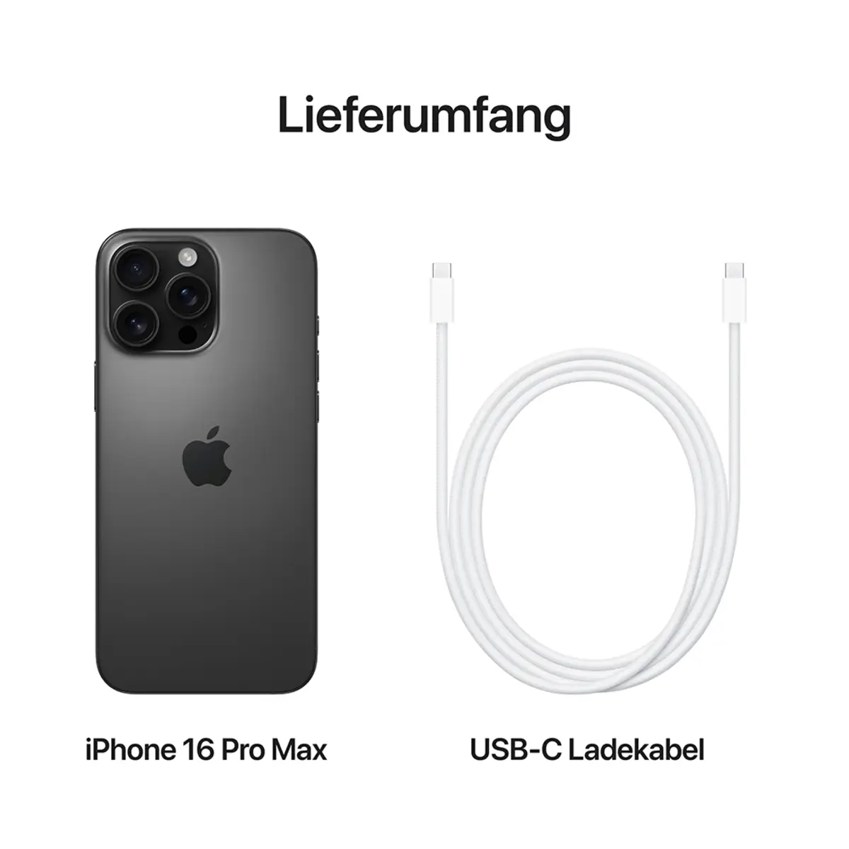 iPhone 16 Pro Max 1TB Titan Schwarz