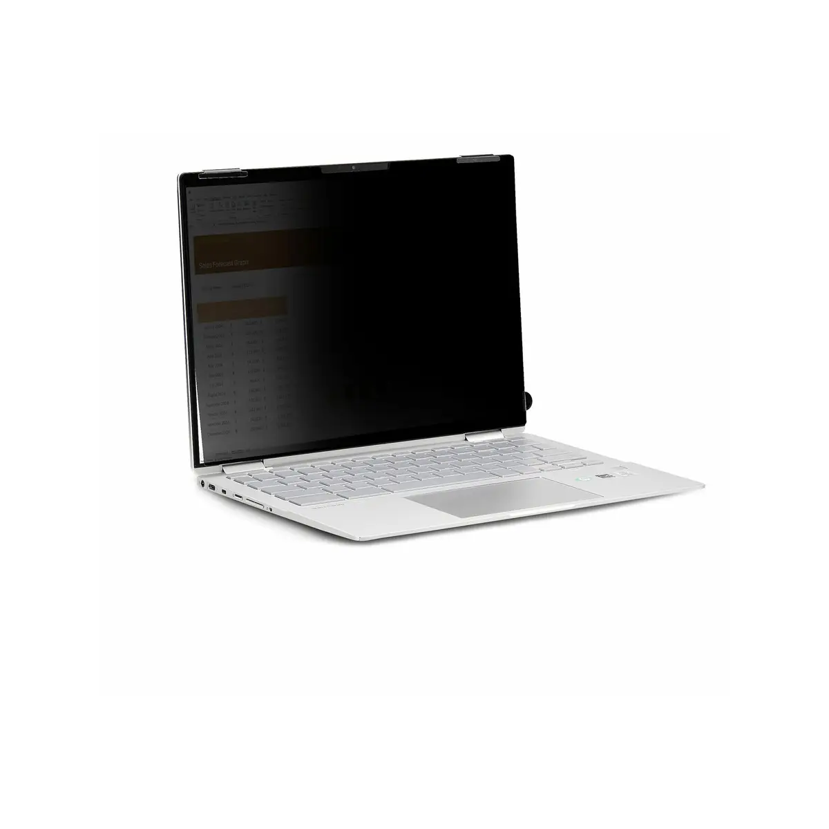 14" Laptop Blickschutzfilter Anti-Glanz Privatsphäre 35,6 cm 16:10 36 gTouch Blendschutzfilter Laptop Monitor Sichtschutzfilter mit 51% Blaulichtreduzierung Flip-Over