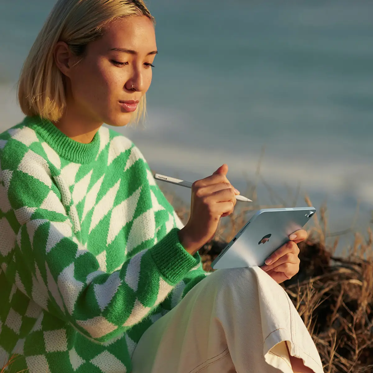 iPad mini (2024) 8,3" 512GB WiFi spacegrau