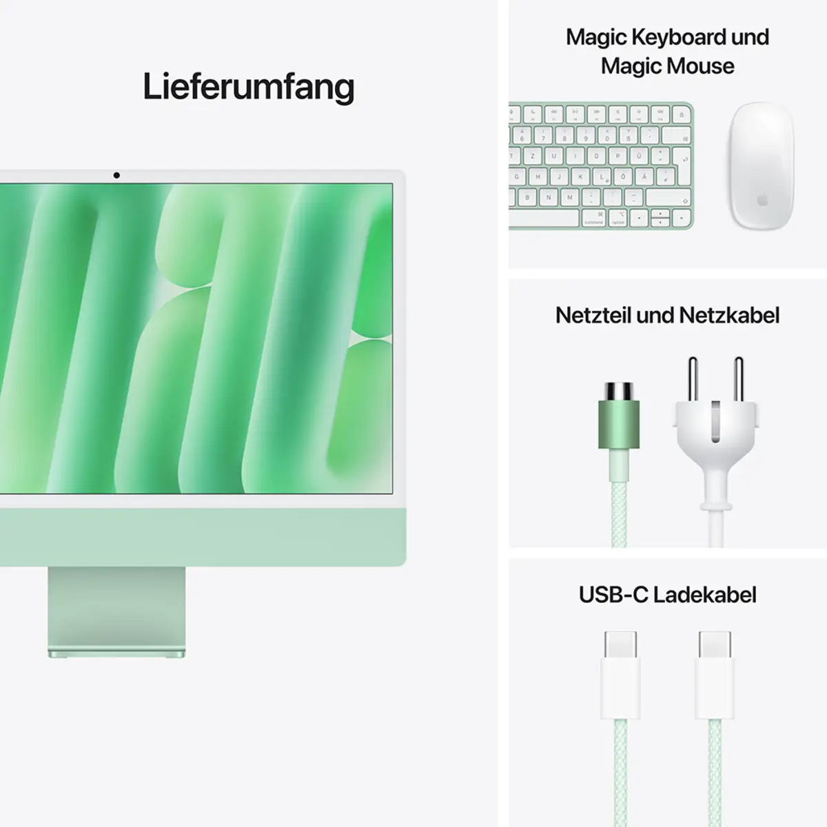 iMac grün mit Retina 4.5k Display Standardglas Apple M4 8C61cm (24") 16GB RAM 256GB SSD Gigabit Ethernet Magic Mouse 2 + Magic Keyboard Deutsch
