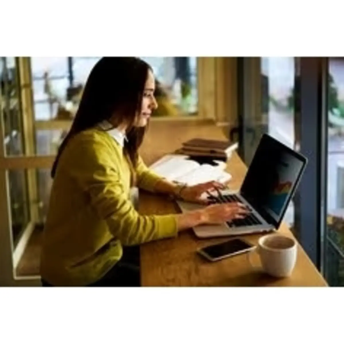 Bright Screen Privacy Filter Blickschutzfilter für 43,9cm (17.3") Notebooks