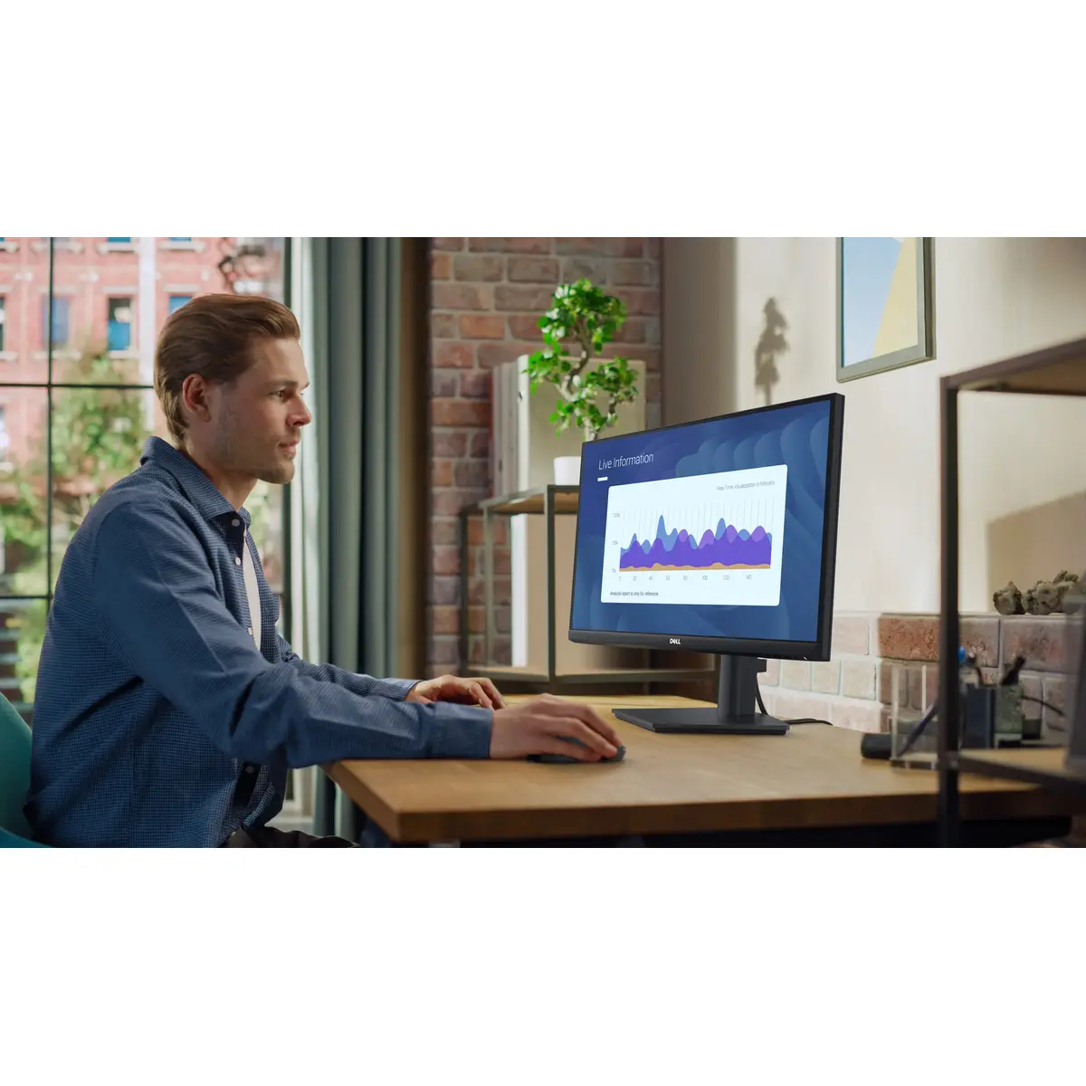 24 Monitor - E2425HS