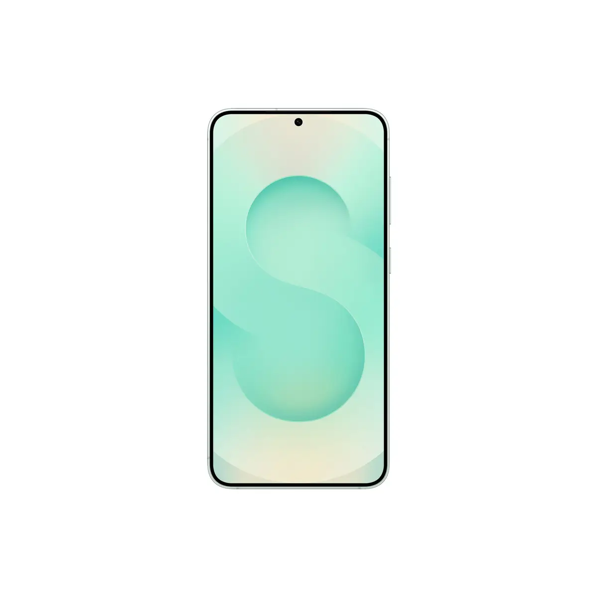 S931B Galaxy S25 5G 256 GB (Mint)