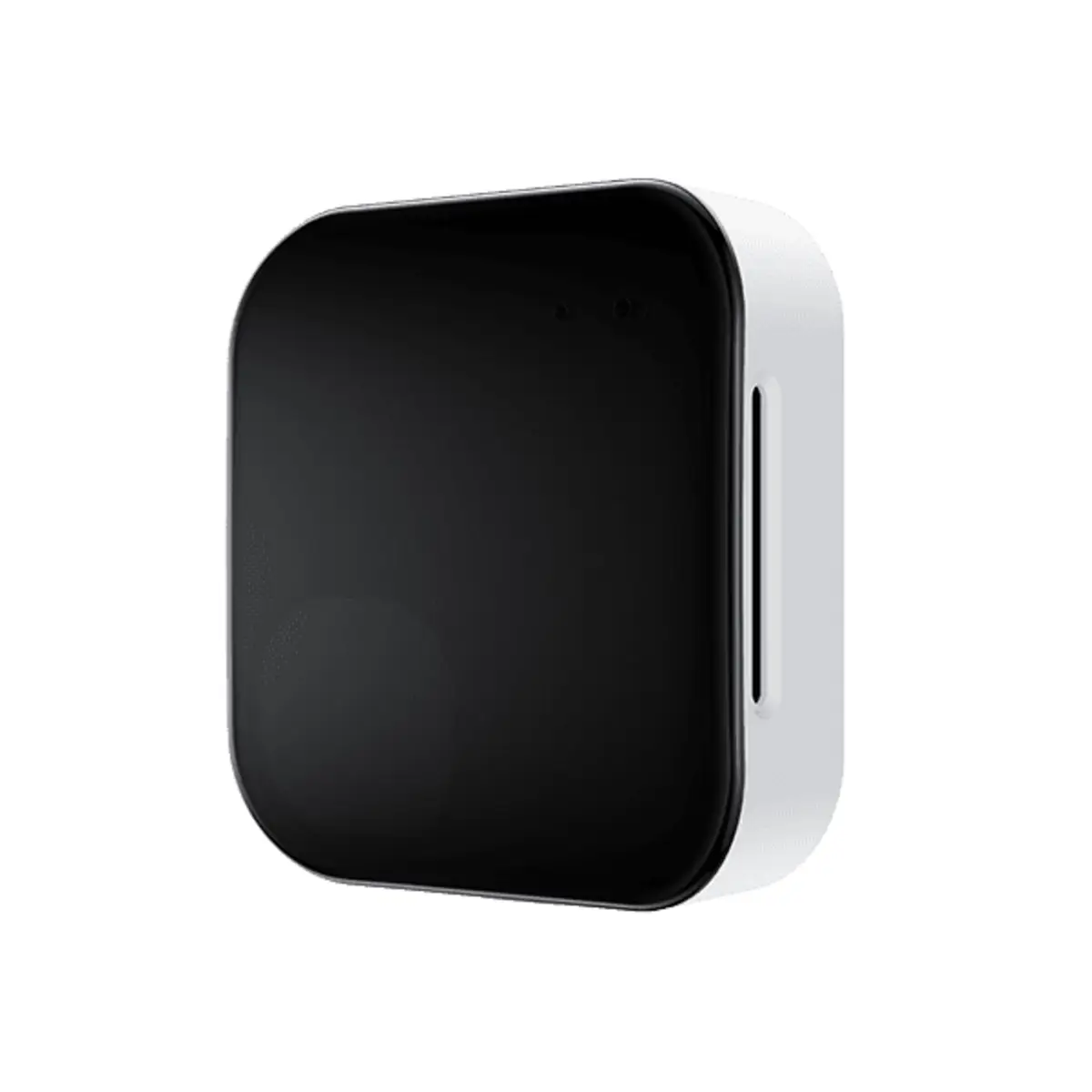 RoomSensor Pro