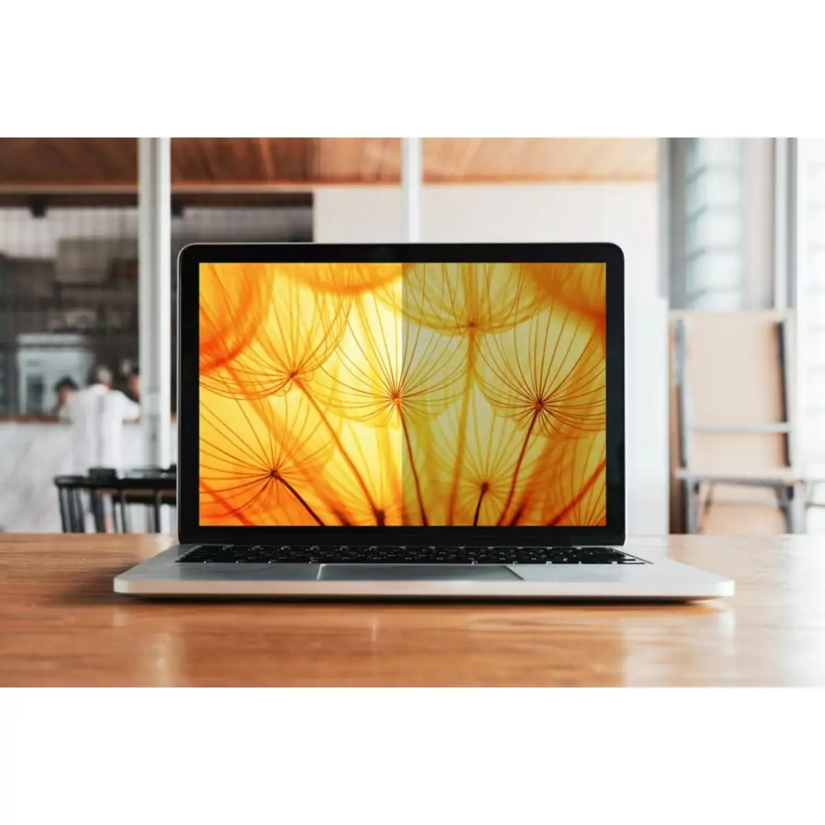 Bright Screen Blickschutzfilter für 14.1in Laptop 16:10 BP141W1B