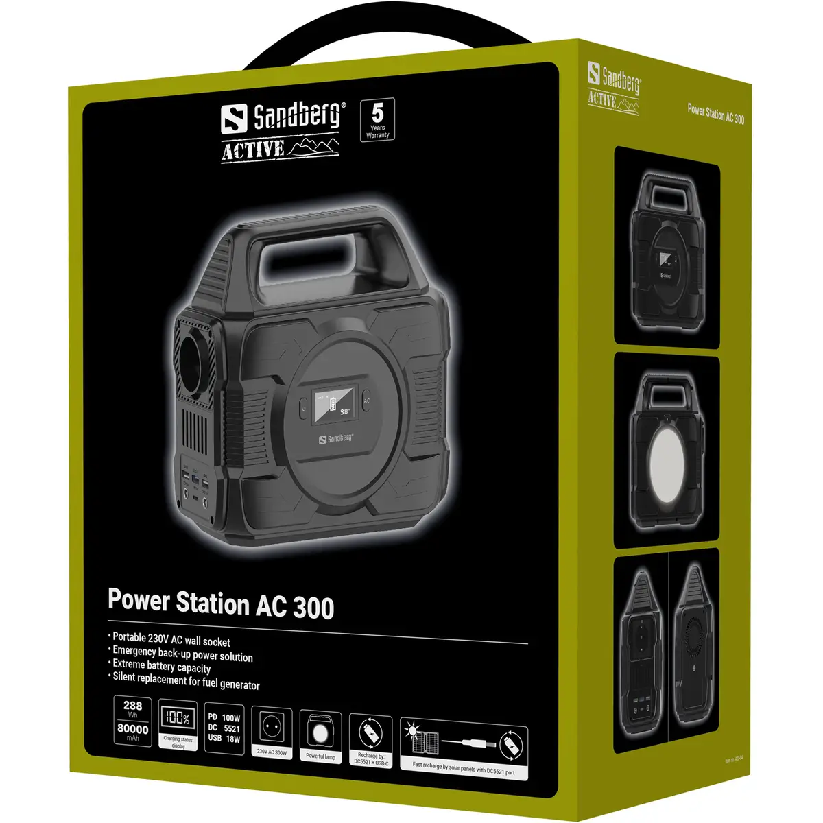 Power Station AC 300 AC 230 V/DC 5 20 V 300 Watt Lithium-Ionen 80000 mAh 288 Wh Ausgangsanschlüsse: 6