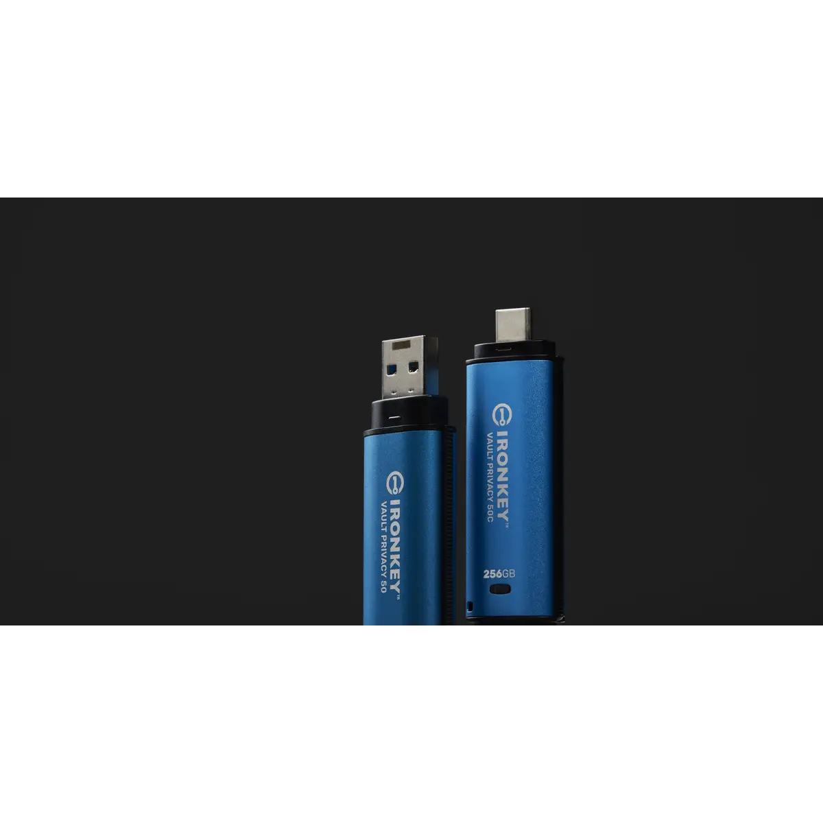 IronKey Vault Privacy 50 256GB USB 3.2 Stick