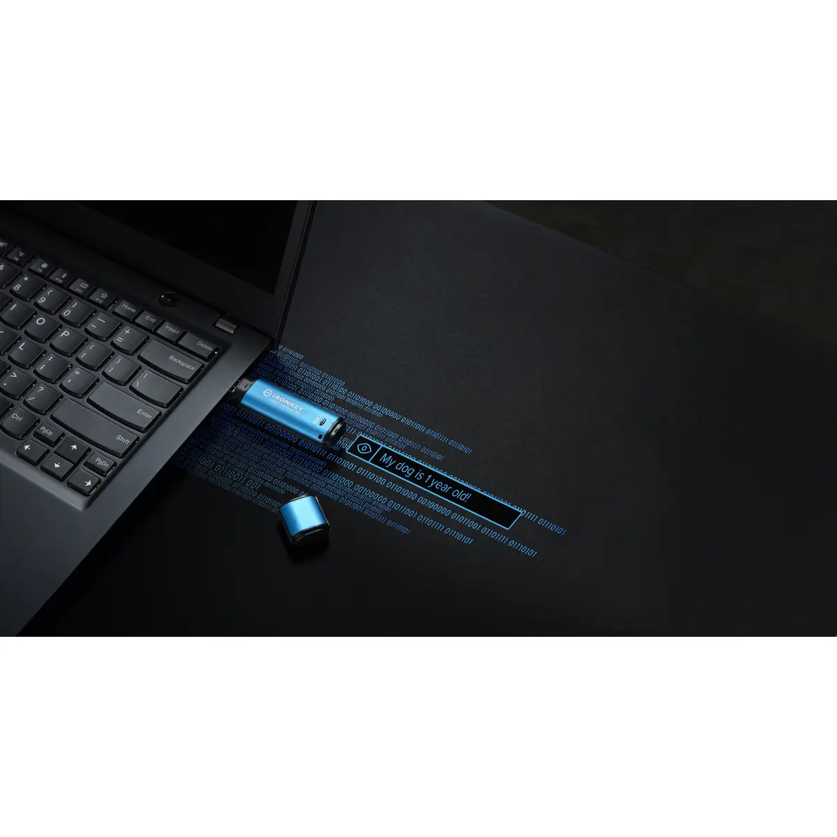 IronKey Vault Privacy 50 256GB USB 3.2 Stick