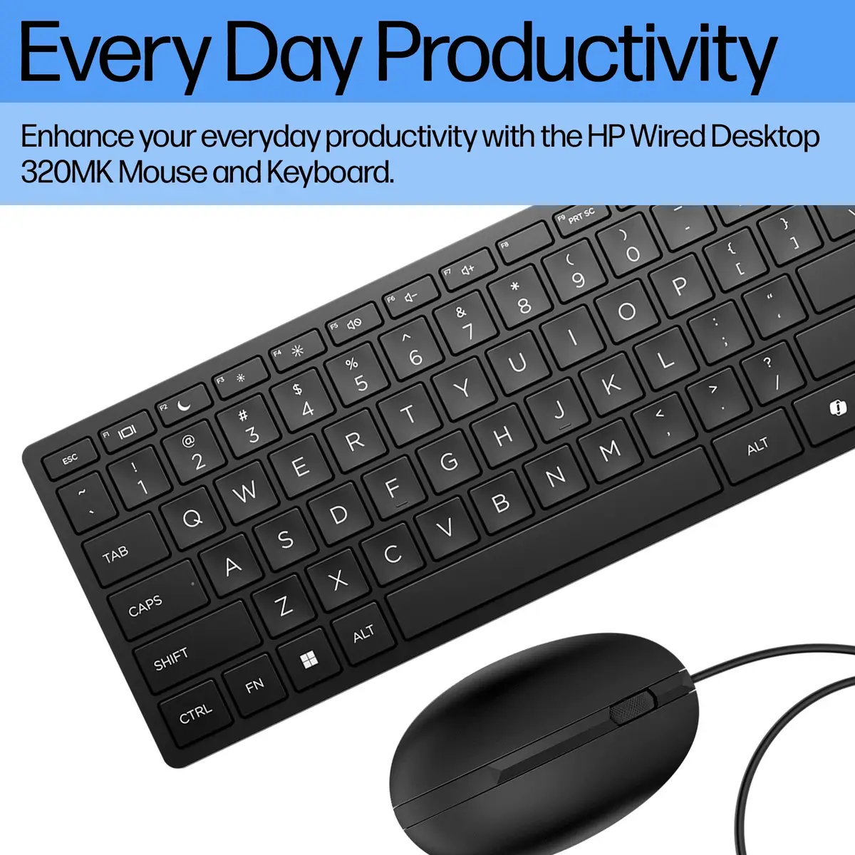 Wired Desktop 320MK Maus und Tastatur, Kabelgebunden, USB, Membran Key Switch, Schwarz, Maus enthalten