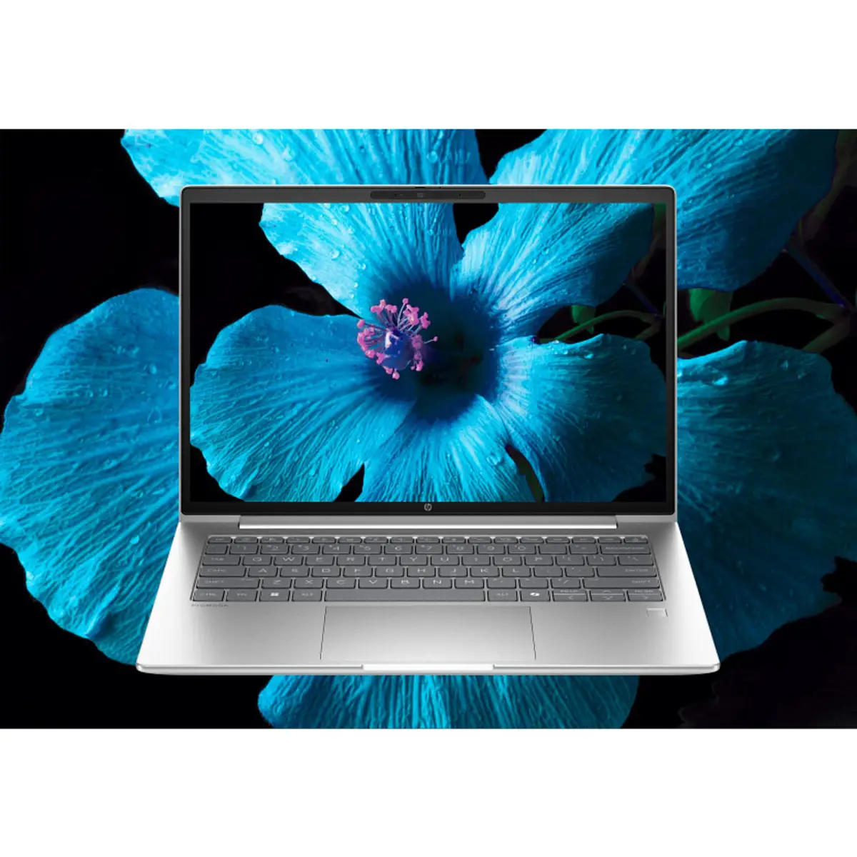 ProBook 4 G1a 14 inch Notebook AI PC, 14", Windows 11 Pro, AMD Ryzen™ 7, 32GB RAM, 1TB SSD, WUXGA