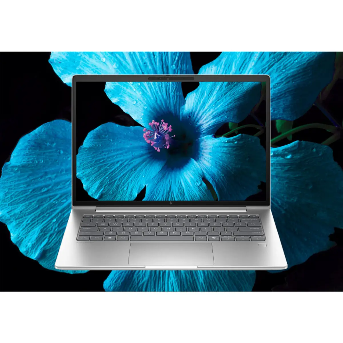 EliteBook 6 G1a 14 inch Notebook AI PC, 14", Windows 11 Pro, AMD Ryzen™ 5, 16GB RAM, 512GB SSD, WUXGA