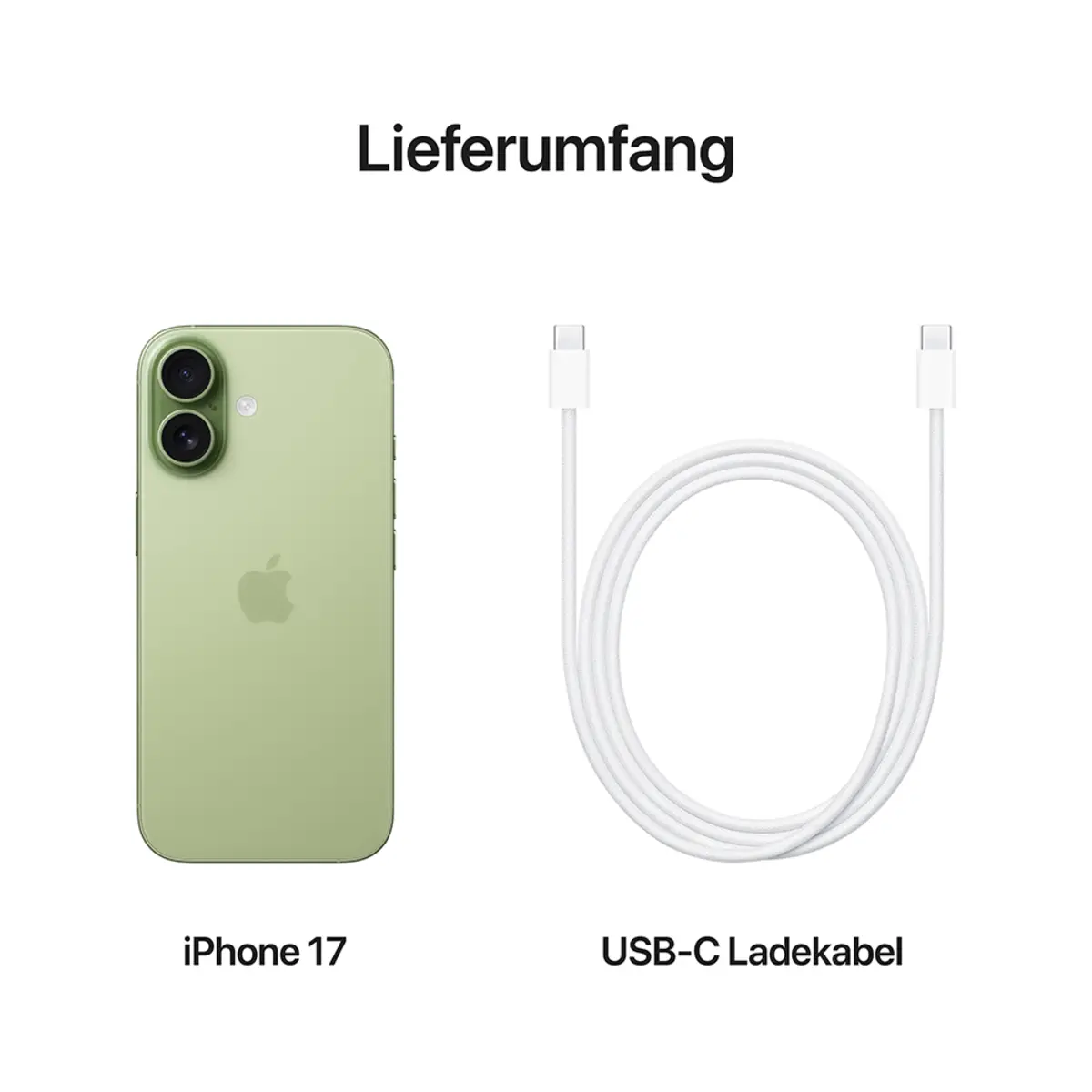 Apple iPhone 17 512GB Salbei