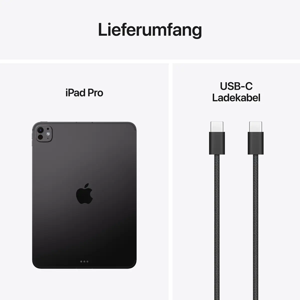 Apple iPad Pro 11" 256GB Standardglas Wi-Fi Space schwarz