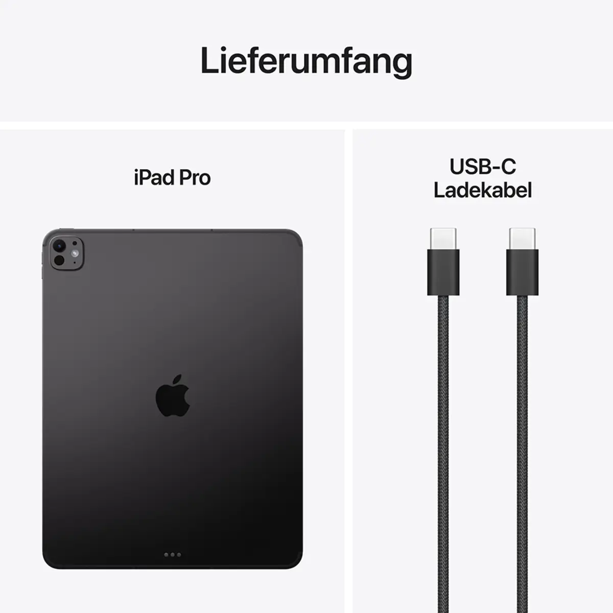 Apple iPad Pro 13" 256GB Standardglas Wi-Fi Space schwarz