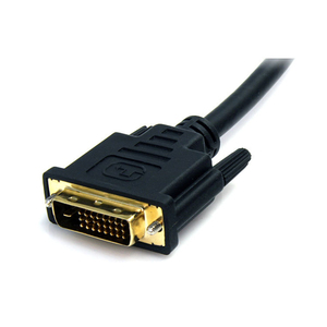 DisplayPort/DVI Adapterkabel Stecker/Stecker Schwarz 1,8 m
