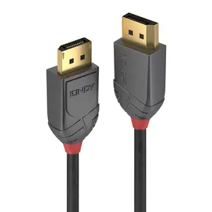 DisplayPort Kabel Stecker/Stecker 2 m DisplayPort Kabel Stecker/Stecker 2 m