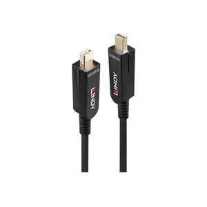 DisplayPort Kabel mit abnehmbaren DP-Stecker Mini-DisplayPort/Mini-DisplayPort Stecker/Stecker Schwarz 20m DisplayPort Kabel mit abnehmbaren DP-Stecker Mini-DisplayPort/Mini-DisplayPort Stecker/Stecker Schwarz 20m