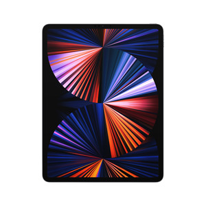 iPad Pro (2021) 12,9" 128GB WiFi space g