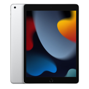 iPad (2021) 10,2" 64GB WiFi + Cellular silber