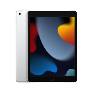 iPad (2021) 10,2" 256GB WiFi + Cellular silber