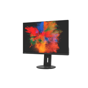 B2410 WS 61 cm (24") Display 1920x1200 Pixel 250 cd/m² 1000:1 5 ms Schwarz