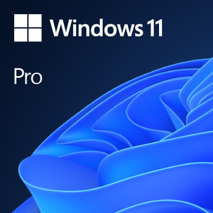 SB MS Windows 11 Professional 64-bit Vollversion DVD Deutsch (Systembuilder)