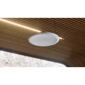 CEILING MICROPHONE PRO ACCS ARCTIC WHITE - SPARE CEILING MICROPHONE PRO ACCS ARCTIC WHITE - SPARE